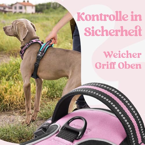 rabbitgoo Hundegeschirr Grosse Hunde, Verstellbare Geschirr Hund ohne Zug & Würgen, Anti Zug Hundegeschirr mit Griff, weich Gepolsterte Reflektierende Brustgeschirr, Rosa L