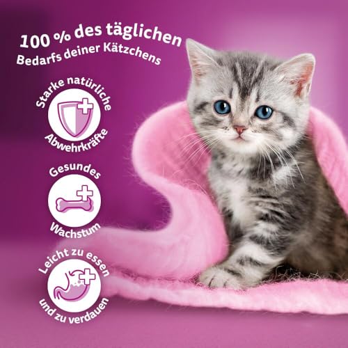 WHISKAS Junior Nassfutter Portionsbeutel Multipack, Geflügelauswahl in Gelee, 12 x 85g