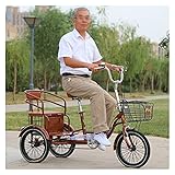 AMZOPDGS Mini Triciclo para Adultos de 16 Pulgadas, Bicicleta de Crucero, una Sola Velocidad, Campana de Bicicleta de Tres Ruedas con Cesta de Carga y Asiento Trasero para Hombres y Mujeres Mayores