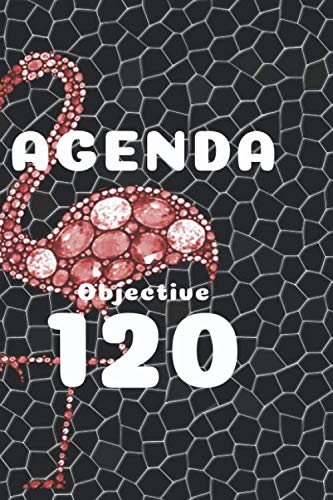Agenda Objective 120: Diary and planner of week and day to help you realize your projects and reach -live score.(non bedpage) yellow, white page: Personal Organization Book and Success      Paperback – Notebook, May 25, 2020