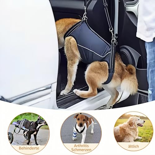 Hundegeschirr, Hebegeschirr für kleine und mittlere Hunde für alte,Gelenkverletzungen-Hebegurt für Haustiere, Ganzkörpergeschirr, Hunde Tragetasche mit Schultergurt, Weich, Einstellbar (Marineblau, M)