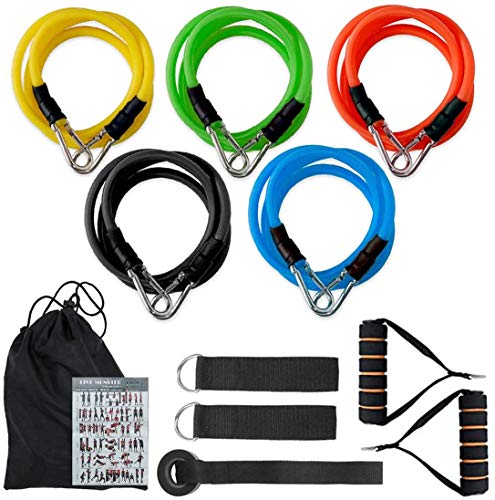Elastiques Bande de Résistance Set, Musculation Bandes de Fitness Traction Kit - pour Musculation,Sport,Yoga, Rééducation et Traction