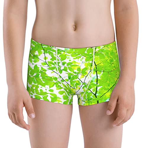 YXSWDDE] キッズ 男児 ボクサーブリーフ 新緑の木の葉 綿 前閉じ 通気