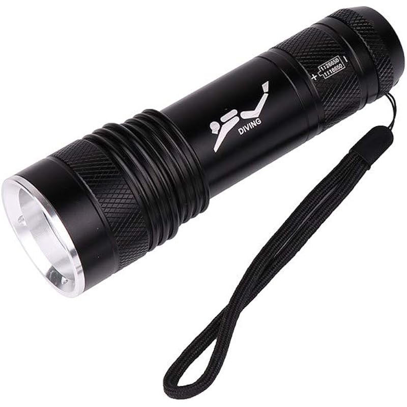 スポーツ アウトドア パステルオリーブ Eldori 明るい 懐中電灯 ペンライト 軽量 小型 ランタン フラッシュ ライト へっとライト 防水 防災 登山 夜釣り用 停電対策 緊急用 キャンプ 登山 夜釣り 夜間散歩 ランタン キャンプ アウトドア 地震 自転車 ライト兼用 大容量