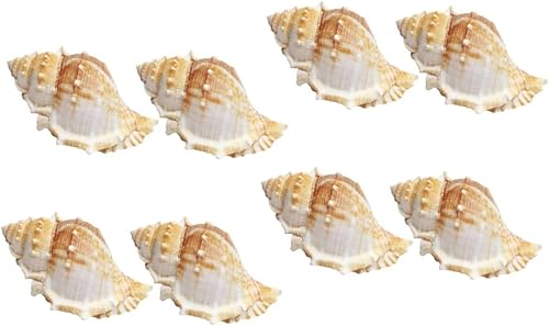 Miniatura 4 de Garneck 32 piezas de decoración de boda mariposas decoración de peces acuario decoración de caracolas escultura jarrón relleno caracolas adornos DIY