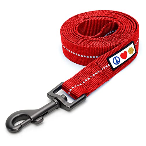 Pawtitas Red Dog Leash 6 ft XS/S Reflective Durable Lightweight Recycled Lead for Small Dogs and Puppies