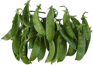 Oregon Snow Pea Seeds- 50 Count Seed Pack - Non-GMO - Finest Tasting, Most Vigorous Snow peas. Use Them for Colorful Tasty...
