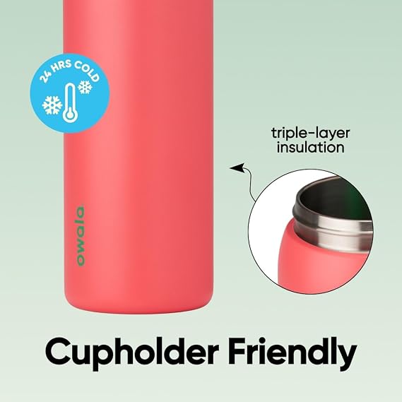 Owala FreeSip Insulated Stainless Steel Water Bottle with Straw for Sports, Travel, and School BPA-Free Sports Water Bottle, 32 oz, Strawberry Field