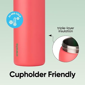 Owala FreeSip Insulated Stainless Steel Water Bottle with Straw for Sports, Travel, and School BPA-Free Sports Water Bottle, 32 oz, Strawberry Field