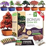 HOME GROWN Bonsai Tree Kit: Unique Christmas Gift for Men - Bonsai Starter Kit w/ 6 Seed Varieties - Unique Designed Pots - All-in-One Craft Kit for Adults for Gardeners & Plant Lovers
