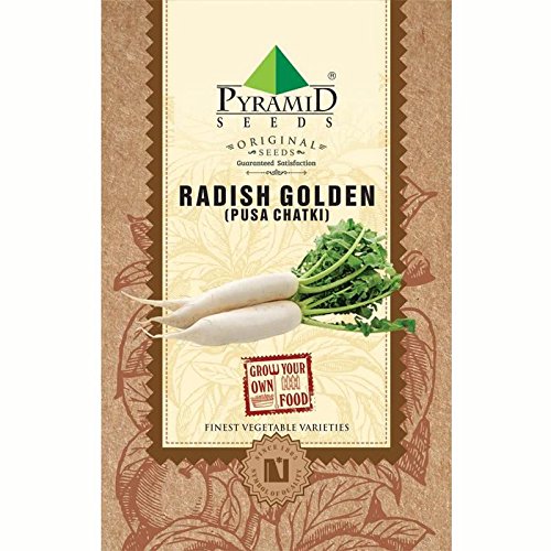 Radish Golden (Pusa Chatki) - 100g