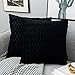 Yamonic Housses Coussin en Velours 50x50cm pour Salon Canapé,Lot de 2 Housses Coussin Carrés de Motif uni Décoration Chambre, Noir