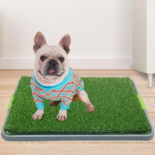 Hundeklo, 68 x 43 cm Welpentoilette Rasen, Wiederverwendbare Hundetoilette mit waschbarer Tablett, hochdurchlässiger Kunstrasen Trainingsunterlagen für Hunde für Zuhause, Wohnung Hundetrainingsplatz