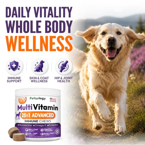 Image of (2 Pack) Dog Multivitamin Chewable, 340 Chews, Dog Vitamins and Supplements