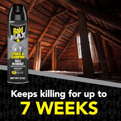 Image of Raid Max Spider and Scorpion Killer, Kills Spiders, Scorpions, Roaches, Ants, Waterbugs, Earwigs, 12 Oz