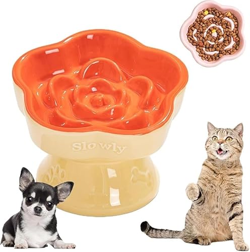 KryZaro IW푁Hh~H X΍݌v Lp ^^Ή h~f߂ @؂Lp H@&dqWΉ ߉a