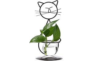Marbrasse Modern Cat Whisker Glass Vase