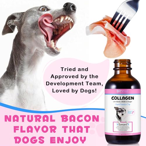 Flüssiges Kollagen für Hunde, Hund Haut und Fell Kollagen Ergänzung, trockene und juckende Haut Relief, Hund Joint Supplements, Unterstützung der Verdauung Gesundheit, Hund Kollagen Tropfen