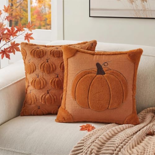 Fall Pillow Covers 20x20 Set of 2 Reversible Burnt Orange Pumpkin Plush