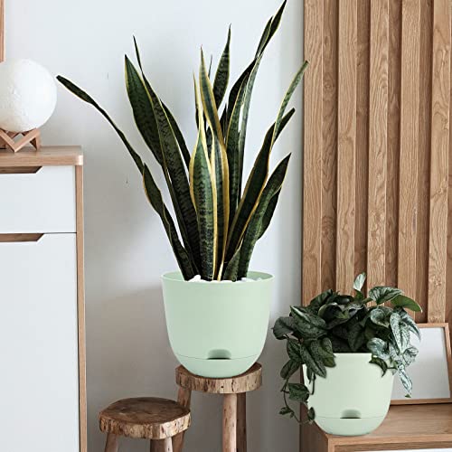Qcqhdu Plant Pots,3 Pack 6 Inch Self Watering Planters High Drainage With Deep Saucer Reservoir For Indoor & Outdoor Garden Flowers Plant Pot-Green #TOP3