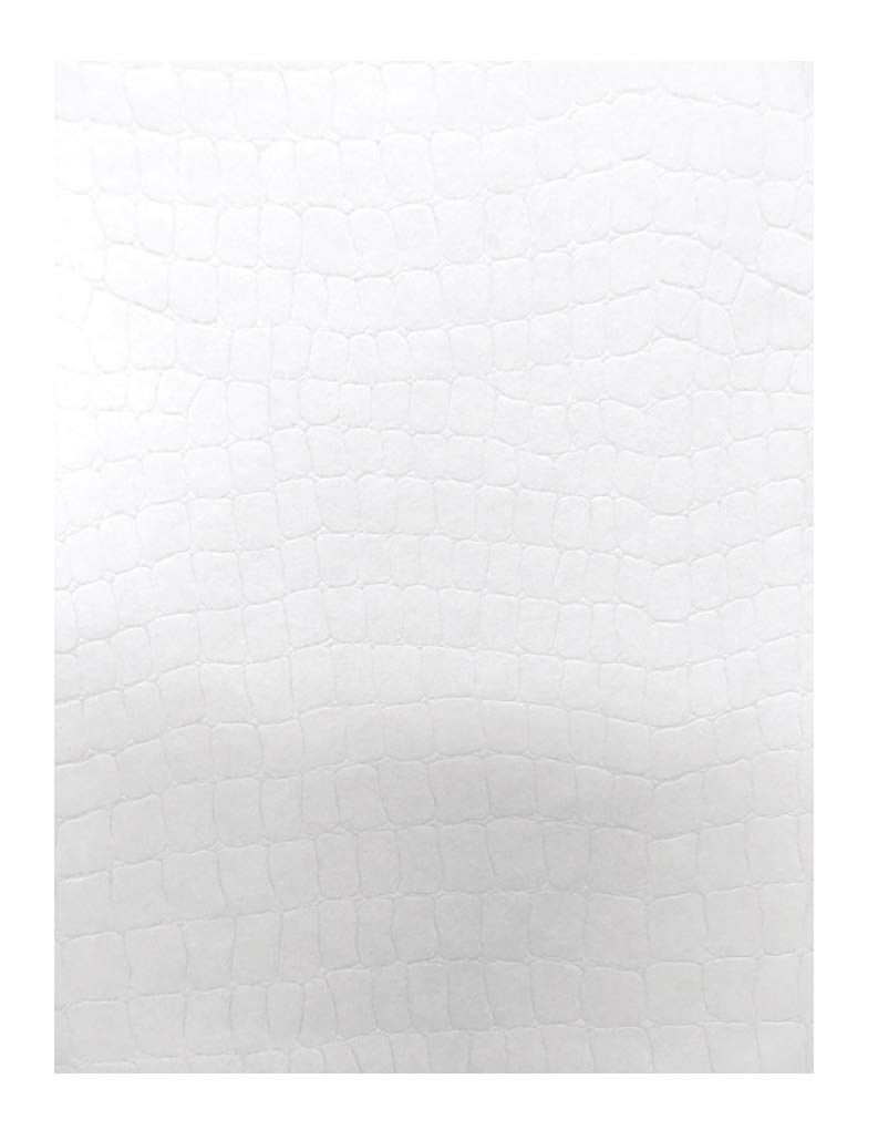 Decadry 16602 A4 Snake Skin Textured Paper (Pack of 20 Sheets)