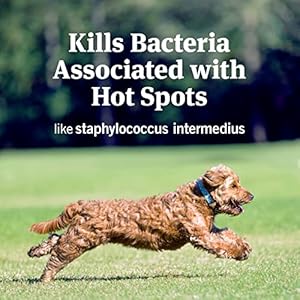 PetArmor Hot Spot Skin Remedy for Dogs, 4 oz