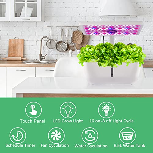 moistenland Hydroponics Growing System, Indoor Herb Garden Starter Kit