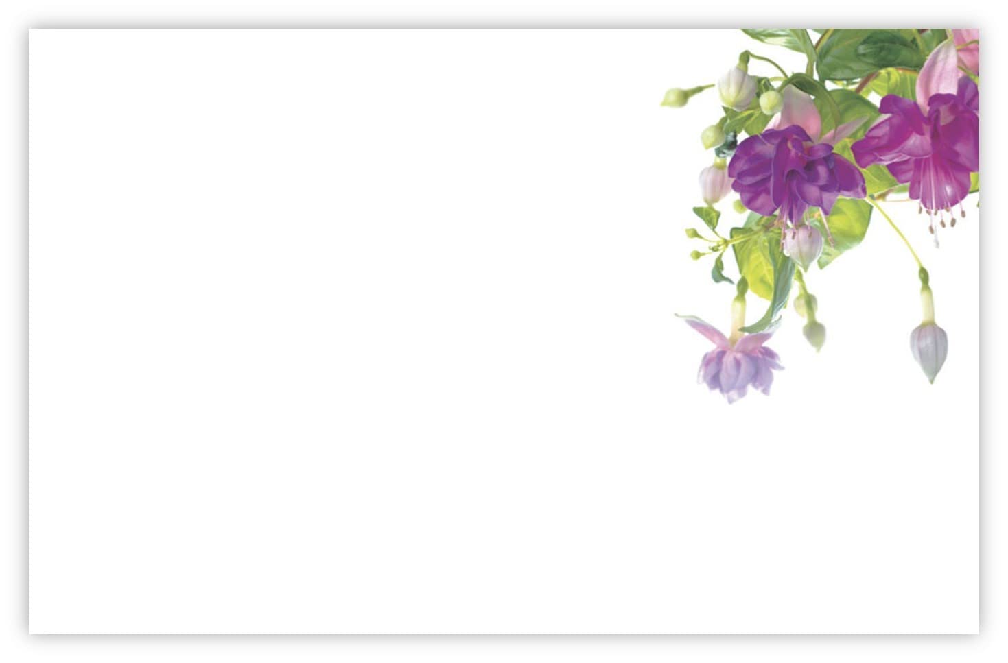 celloexpress Blank (Fuchsia) Flower Message Cards - 60mm x 90mm - Blank Florist Card Gift Notes (Pack of 100)