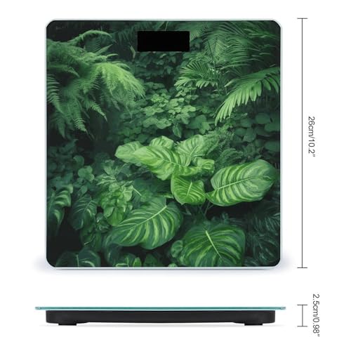 Báscula digital para baño con vidrio templado y pantalla LCD miniatura 2