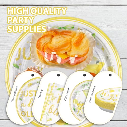 Greencian 96 Pcs Lemon Cocktail Birthday Party Decorations, Serves 24 by Greencian - Used condition - Image 6