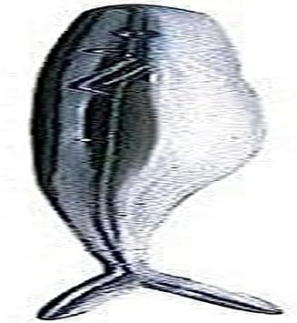 Bass Assassin Saltwater Split Tail Shad-10 Per Bag