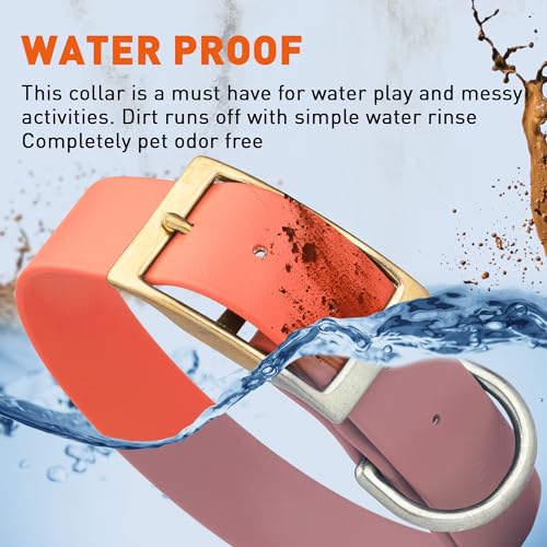 Image of Viper Biothane Heavy Duty Waterproof Dog Collar Strong Coated Nylon Webbing w /Solid Brass Hardware Odor-Proof Easy to Clean High Performance Fits Small Medium or Large Dogs, Coral