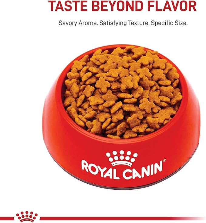 La Mejor Lista de Royal canin para comprar hoy. 3 Imagen adicional