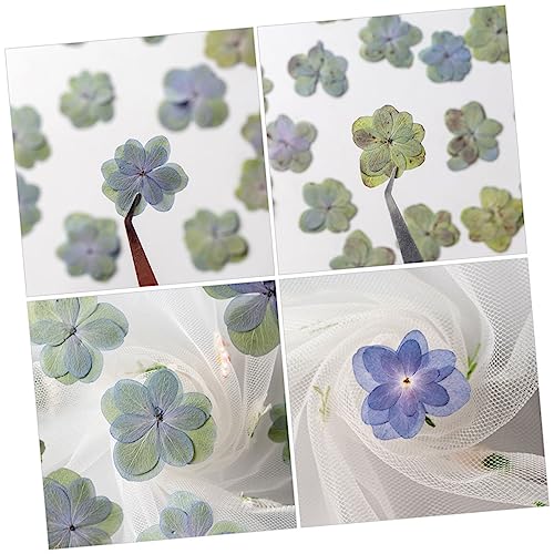 30 flores secas prensadas para manualidades DIY miniatura 3