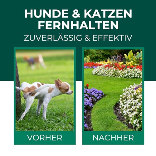 Silberkraft Hunde und Katzen EX Granulat 200g, Hund & Katze von deinem Grundstück fernhalten, Hundeabwehr & Katzenvertreiber, Alternative zu Sprays, Gittern oder Ultraschallgeräten