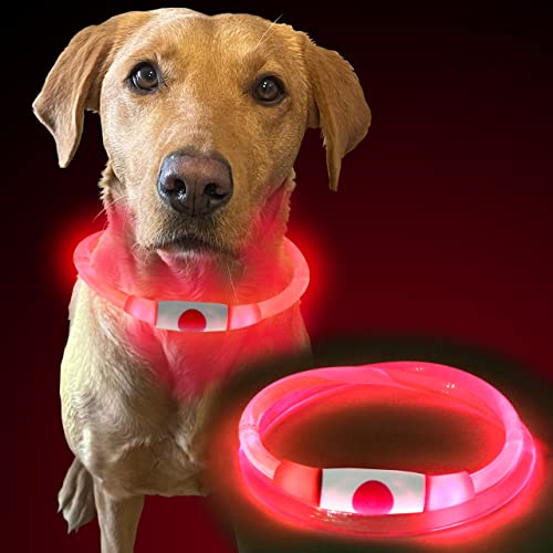 Murr LED Dog Collar Light, Red