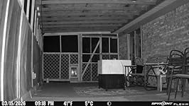 Review Image by KD King