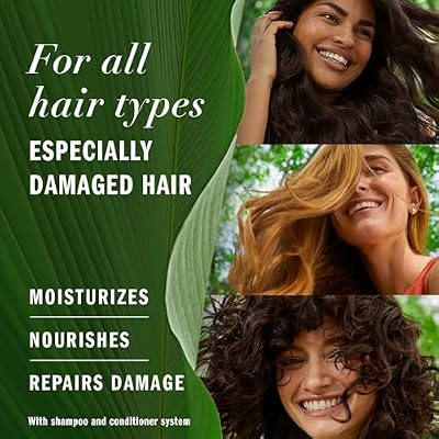 Herbal Essences Argan Oil Paraben Free Conditioner, Hair Repair, 20.2 fl oz, with Certified Camellia Oil and Aloe Vera, For All Hair Types, Especially Damaged Hair
