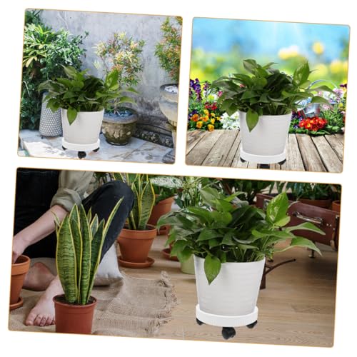 Support de plantes roulettes design et mobilité accrue