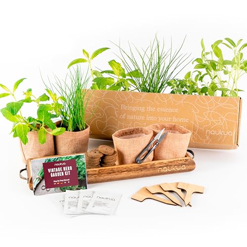 Kit Cultivo Vintage de Hierbas Aromaticas y Culinarias (Cebollino, Orégano, Menta y Salvia) -...