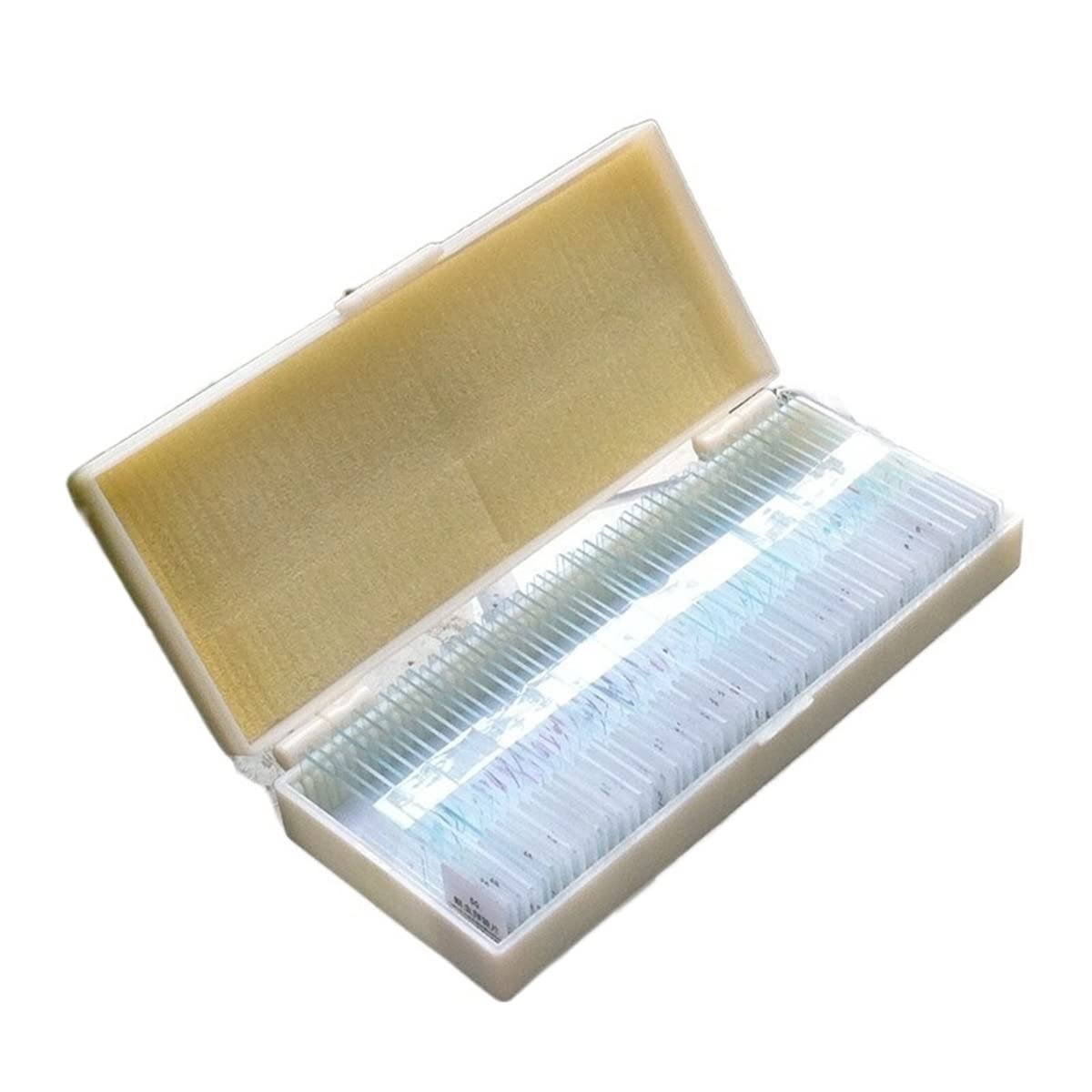Kit di diapositive for microscopi- 5 0pcs Diapositive al microscopio a scatto for microscopio preparato
