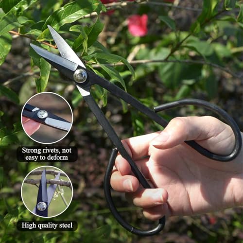 Image of HASTHIP 7.5'' Gardening Pruning Shears -43mm Steel Blades, Bonsai Scissors Pruners Garden Clippers for Trees, Roses, Plants & Branches