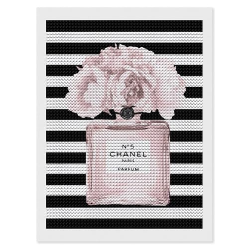 5D_ChA[g Vl  _Ch|X^[ Lbg DIY  ͋C ǂ̑  G| S ȒP 12"x16"