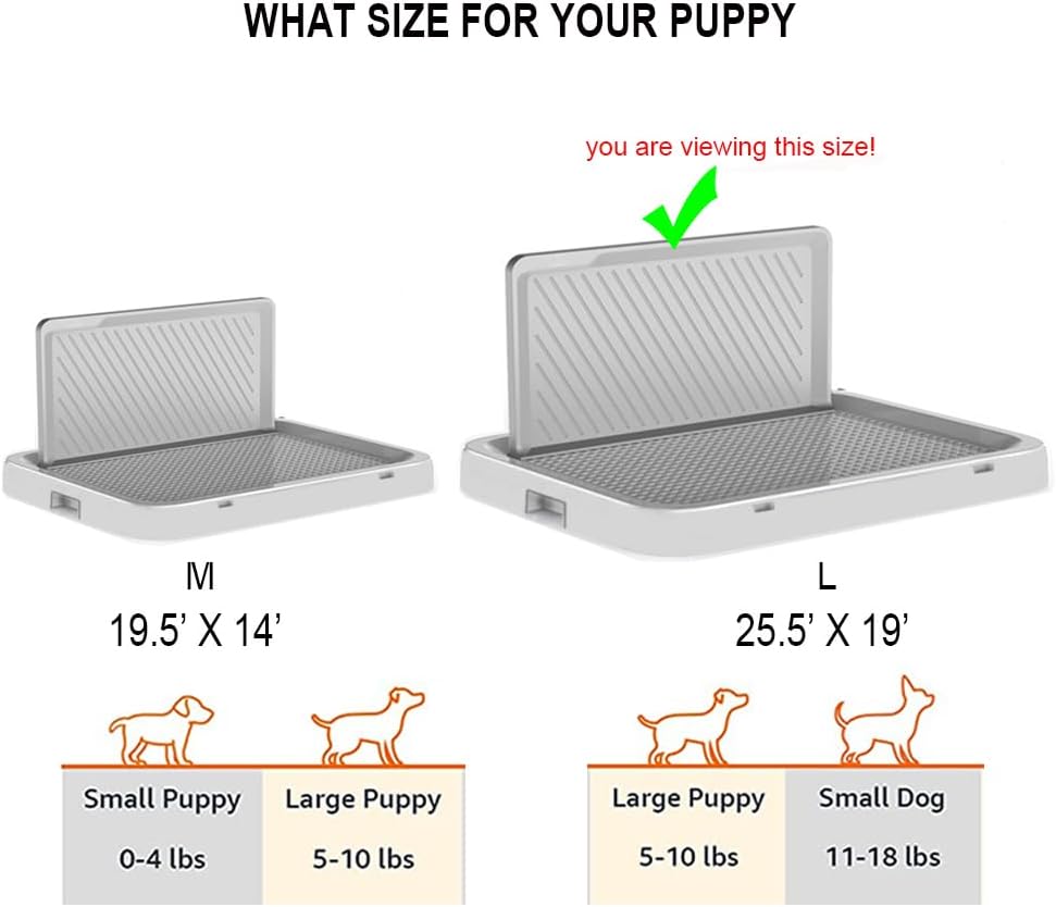 https://m.media-amazon.com/images/I/51SYPGXtYGL._AC_SL1000_.jpg