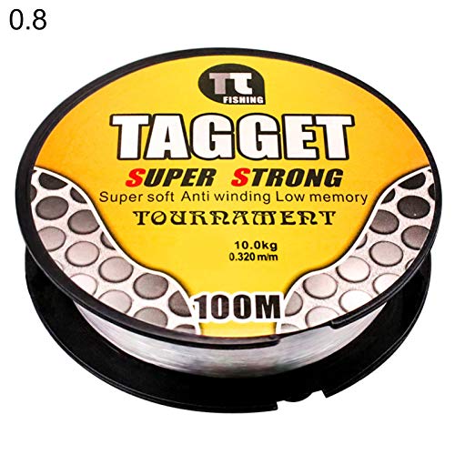 Linha de pesca, 100 m de nylon super forte para pesca marítima ao ar livre, ferramenta de pesca aces