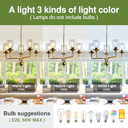 Image of Gold 5-Lights Glass Chandelier Rustic Metal Pendant Lighting Ceiling Light Fixtures Hanging for Farmhouse Kitchen Living Room Foyer Dining Room.