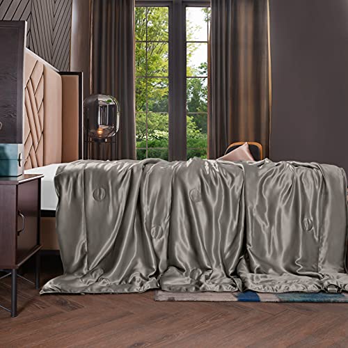 Thxsilk 100% Silk Inside And Out Luxury Throw Blanket For Sofa Office Travel Children (53X70 Inch, Charcoal) #TOP10