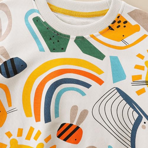 Boys Sweatshirts Casual Sweatshirts Cotton Sweatshirts Long Sleeve T-shirts Crew Neck Cartoon Tops for Boys-2114