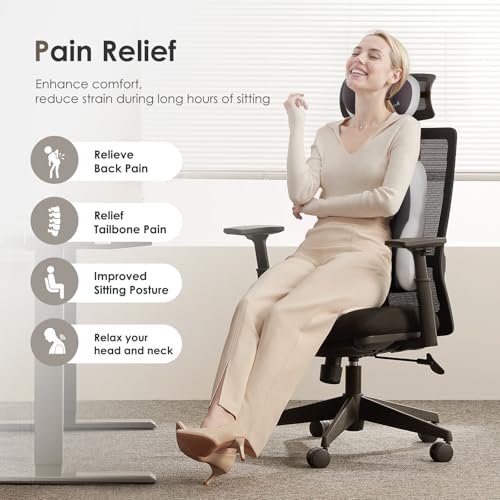 Image of FLORICH Lumbar Support with Car headrest Back Pillow for Chairs Headrest Pillow for Car Ergonomic Ultrathick Memory Foam Back Pillow for Office Chair (Beige Grey)