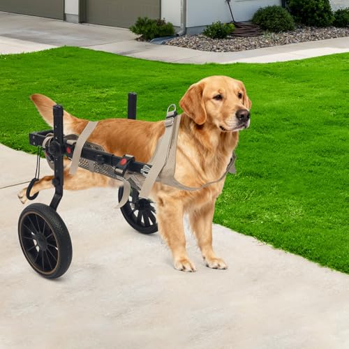 Dog Wheelchair for Back Legs, Medium/Large Pet Dog Wheelchair Adjustable Mobility Support Harness, Pet Rehabilitation Aid for Large Dogs up to 65kg, for Aging, Disable, Injured, Weak Dogs (XL) - Image 3